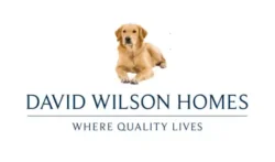David Wilson